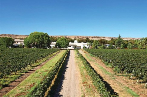 Bodega Humberto Canale: más de 110 años de vigencia
